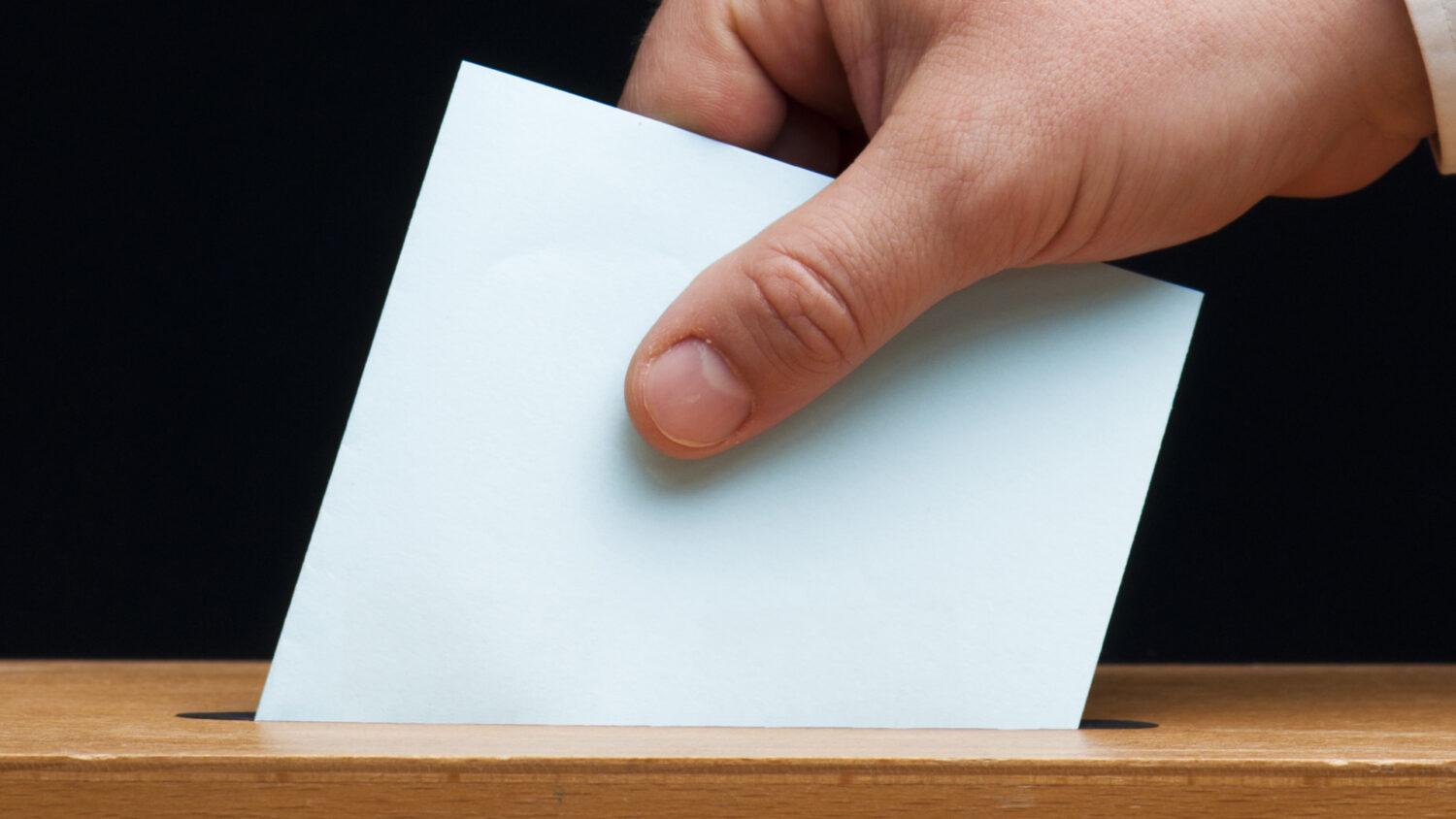 Anketa: Koho budete voliť?