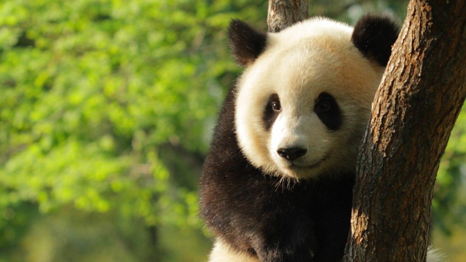 7 neuveriteľných faktov z ríše zvierat