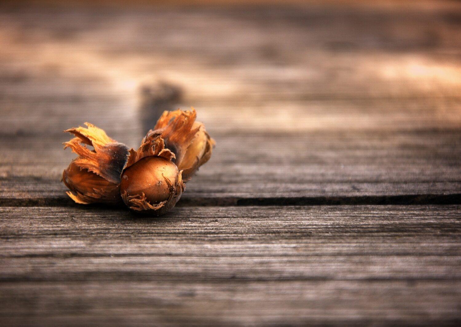 Mýty vo vianočných rozprávkach. Čo z nich dieťa získava?