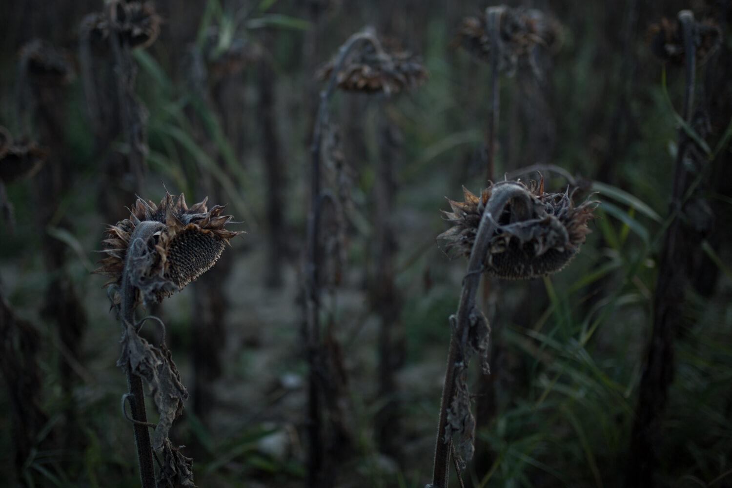 7 tipov, ako spoznať, že ste v nebezpečnom manželstve